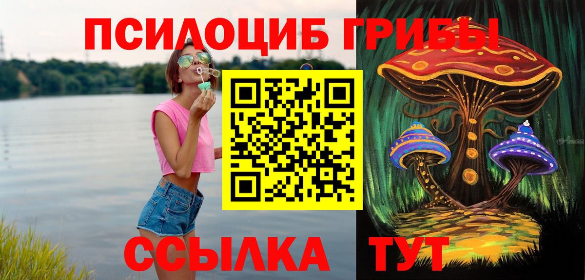 Псилоцибиновые грибы мицелий Туапсе